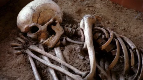 Renaissance shares drop 33% following $3m loss