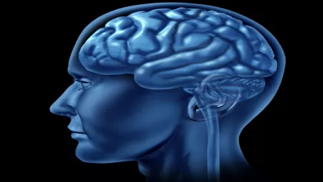 Is your business intelligent?