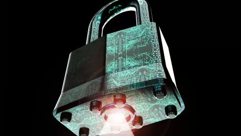 Survey results: Let's talk about data privacy