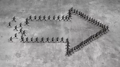 Quantum IT Limited, NZ appointed as exclusive distributor by Blueleaf