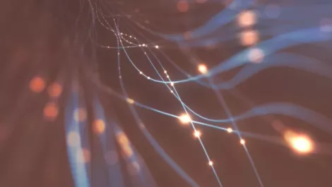 10,000 Christchurch homes get fibre