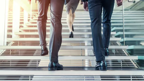 New leaders promoted at Ingram Micro's New Zealand operation