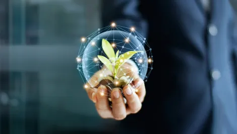 Felix Mobile reaches milestone with one-millionth tree
